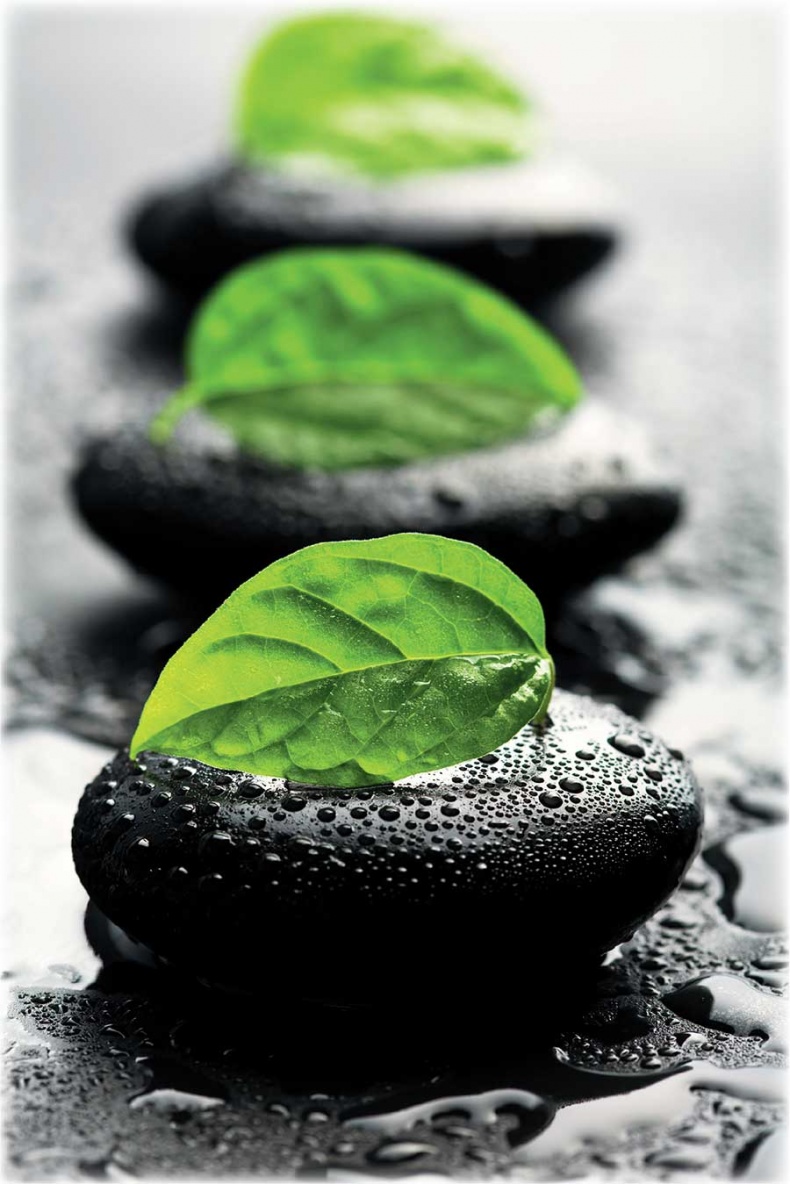 Иллюстрация к книге — Йога-анатомия. Как работают асаны для здоровья и стройности тела [i_125.jpg]