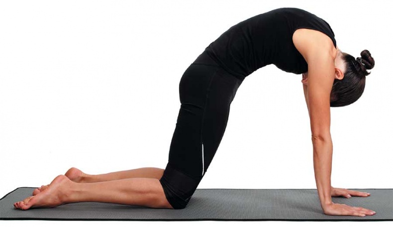 Иллюстрация к книге — Йога-анатомия. Как работают асаны для здоровья и стройности тела [i_128.jpg]