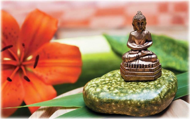 Иллюстрация к книге — Йога-анатомия. Как работают асаны для здоровья и стройности тела [i_130.jpg]