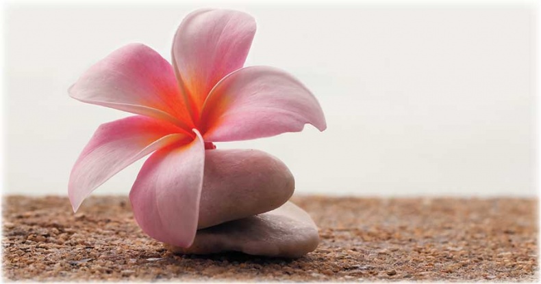 Иллюстрация к книге — Йога-анатомия. Как работают асаны для здоровья и стройности тела [i_167.jpg]