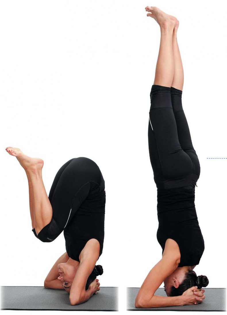 Иллюстрация к книге — Йога-анатомия. Как работают асаны для здоровья и стройности тела [i_169.jpg]