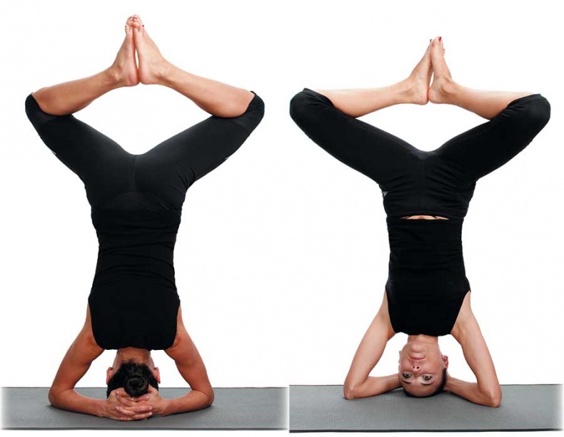 Иллюстрация к книге — Йога-анатомия. Как работают асаны для здоровья и стройности тела [i_170.jpg]