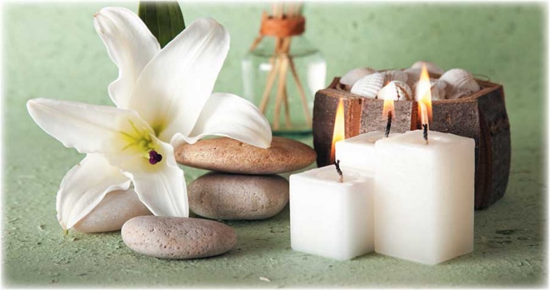 Иллюстрация к книге — Йога-анатомия. Как работают асаны для здоровья и стройности тела [i_192.jpg]