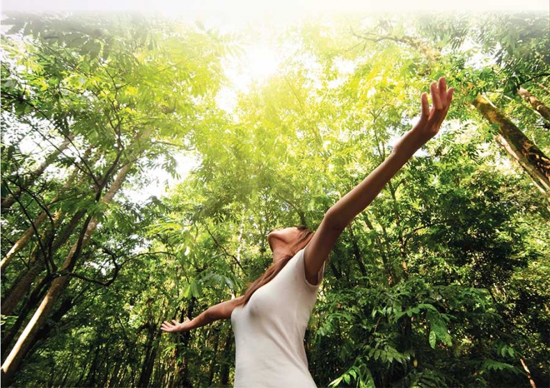 Иллюстрация к книге — Йога-анатомия. Как работают асаны для здоровья и стройности тела [i_199.jpg]