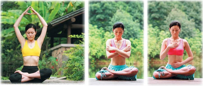 Иллюстрация к книге — Йога-анатомия. Как работают асаны для здоровья и стройности тела [i_226.jpg]