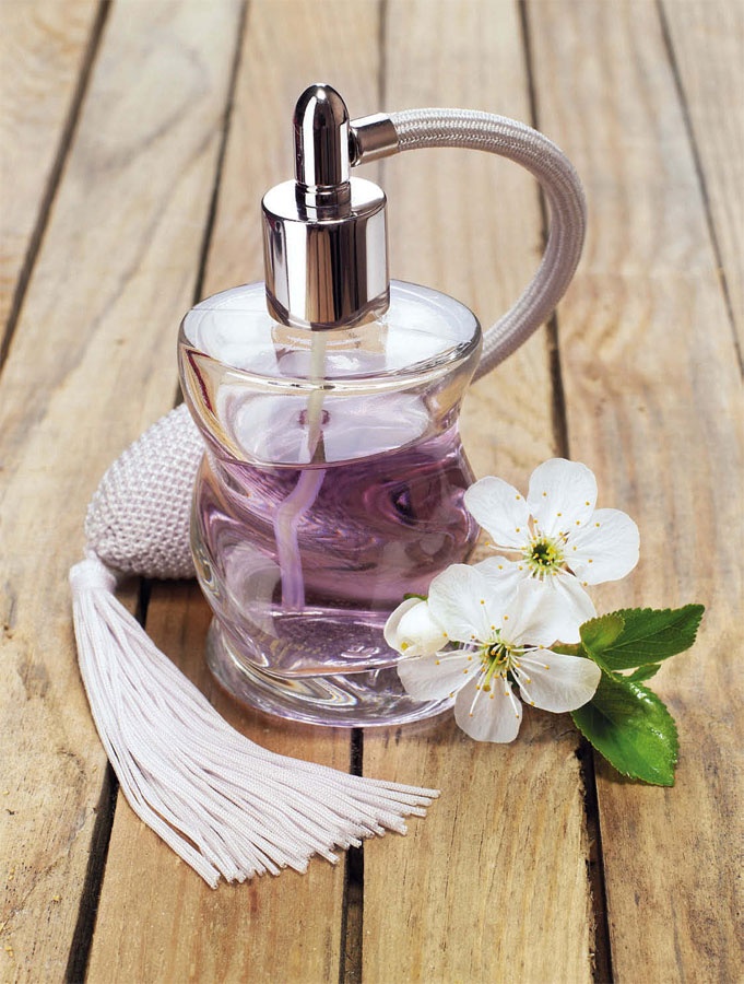 Иллюстрация к книге — Маленькие секреты большого гардероба [_100.jpg]