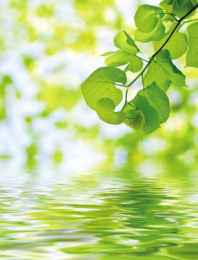 Иллюстрация к книге — Маленькие секреты большого гардероба [_102.jpg]