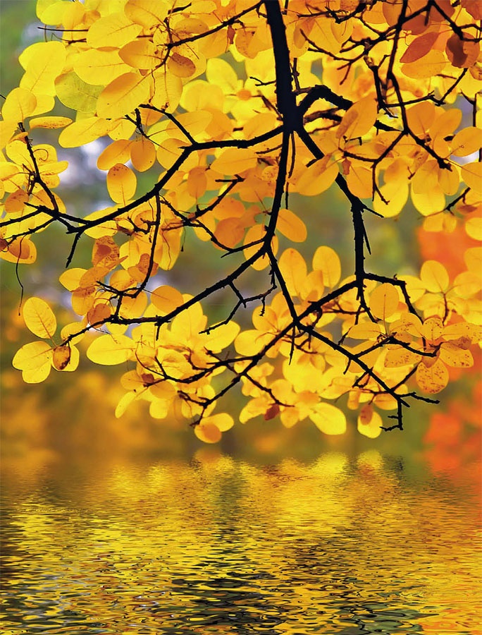 Иллюстрация к книге — Маленькие секреты большого гардероба [_144.jpg]