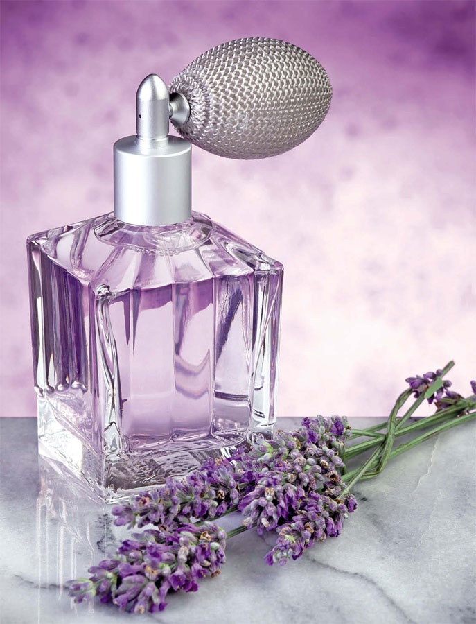 Иллюстрация к книге — Маленькие секреты большого гардероба [_223.jpg]