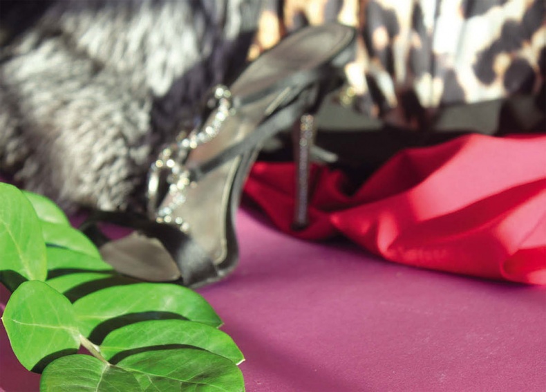 Иллюстрация к книге — Маленькие секреты большого гардероба [_55.jpg]