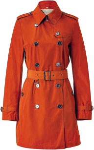 Иллюстрация к книге — Маленькие секреты большого гардероба [_8.jpg]