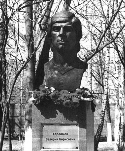 Иллюстрация к книге — Валерий Харламов. Легенда №17 [i_139.jpg]