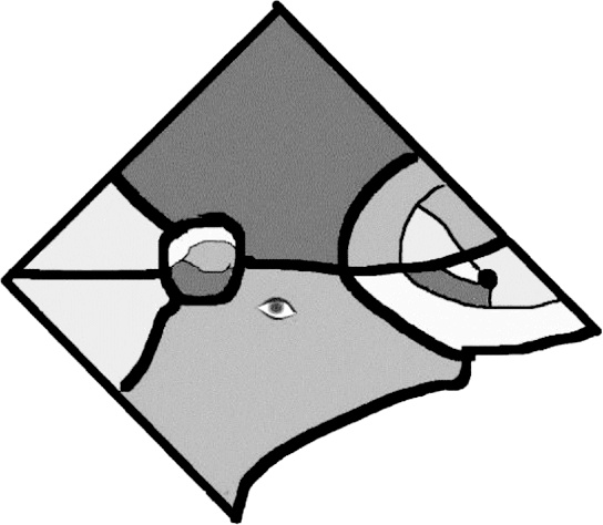 Иллюстрация к книге — Происхождение [i_013.jpg]