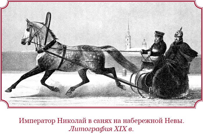 Иллюстрация к книге — Мое самодержавное правление [i_114.jpg]