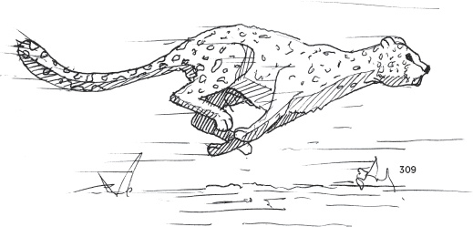 Иллюстрация к книге — Дневник молодежного пастора [_17.jpg]