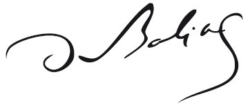 Иллюстрация к книге — Жизнь Бальзака [i_004.jpg]