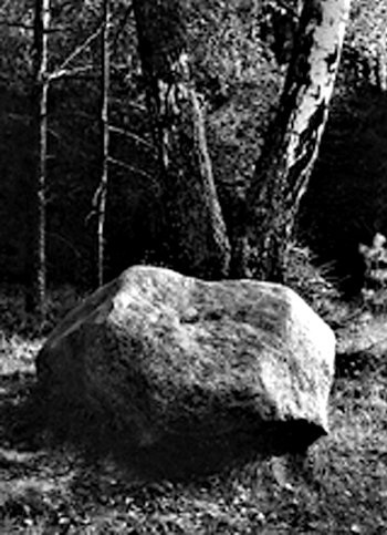 Иллюстрация к книге — Первая встреча – последняя встреча [i_060.jpg]