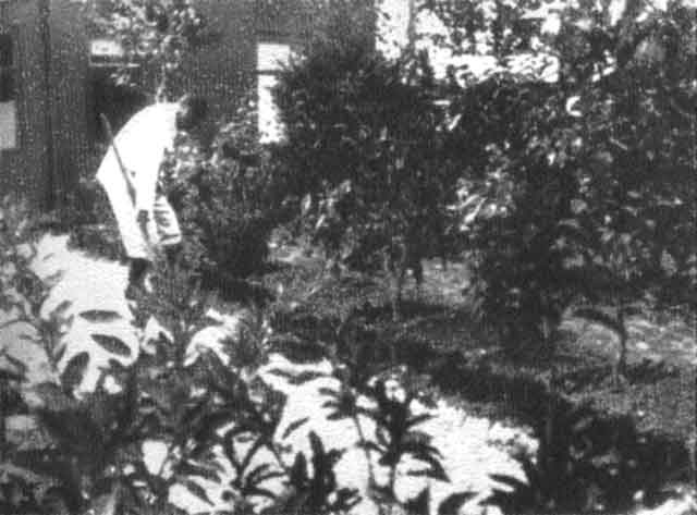 Иллюстрация к книге — Сталин [i_041.jpg]