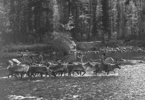 Иллюстрация к книге — Валентин Распутин [i_016.jpg]