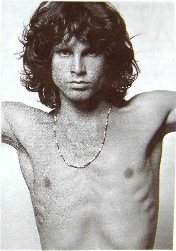 Иллюстрация к книге — Шаман. Скандальная биография Джима Моррисона [i_036.jpg]