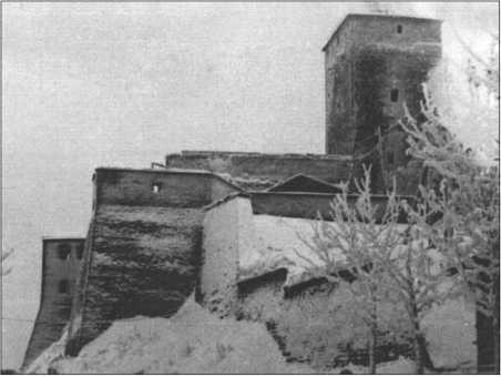 Иллюстрация к книге — "Тигры" в снегу. Мемуары танкового аса [i_097.jpg]