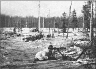 Иллюстрация к книге — "Тигры" в снегу. Мемуары танкового аса [i_110.jpg]