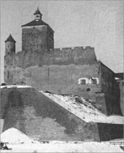 Иллюстрация к книге — "Тигры" в снегу. Мемуары танкового аса [i_114.jpg]