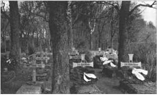 Иллюстрация к книге — "Тигры" в снегу. Мемуары танкового аса [i_144.jpg]