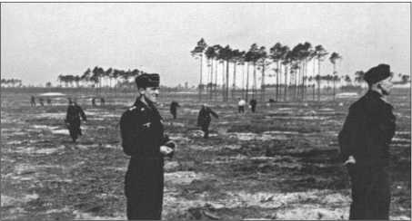 Иллюстрация к книге — "Тигры" в снегу. Мемуары танкового аса [i_147.jpg]