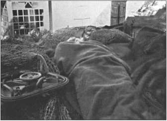 Иллюстрация к книге — "Тигры" в снегу. Мемуары танкового аса [i_226.jpg]