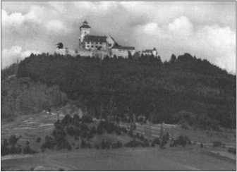 Иллюстрация к книге — "Тигры" в снегу. Мемуары танкового аса [i_328.jpg]