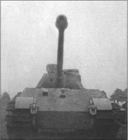 Иллюстрация к книге — "Тигры" в снегу. Мемуары танкового аса [i_331.jpg]