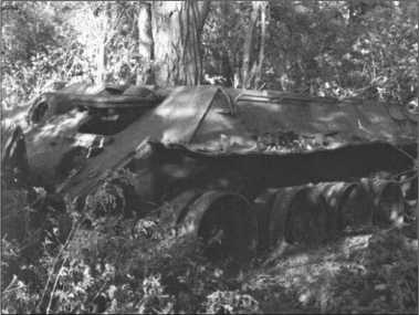 Иллюстрация к книге — "Тигры" в снегу. Мемуары танкового аса [i_348.jpg]