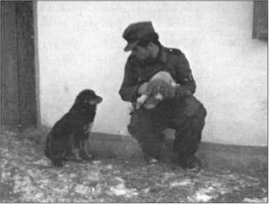 Иллюстрация к книге — "Тигры" в снегу. Мемуары танкового аса [i_355.jpg]