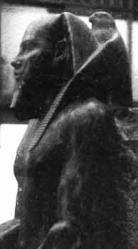 Иллюстрация к книге — Боги Эдема [i_024.jpg]