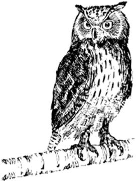 Иллюстрация к книге — Волшебный поезд Джоан Роулинг [img1fde.jpg]