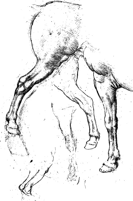 Иллюстрация к книге — Леонардо да Винчи. О науке и искусстве [_055.jpg]