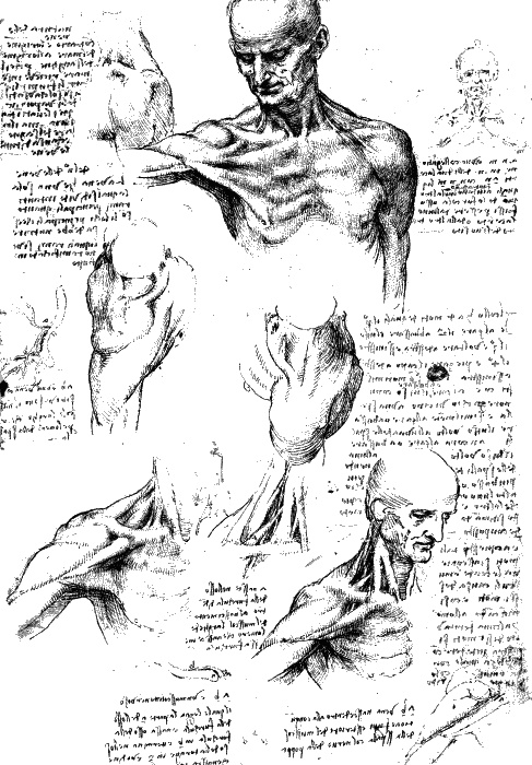 Иллюстрация к книге — Леонардо да Винчи. О науке и искусстве [_125.jpg]