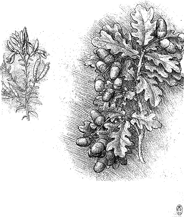 Иллюстрация к книге — Леонардо да Винчи. О науке и искусстве [_177.jpg]