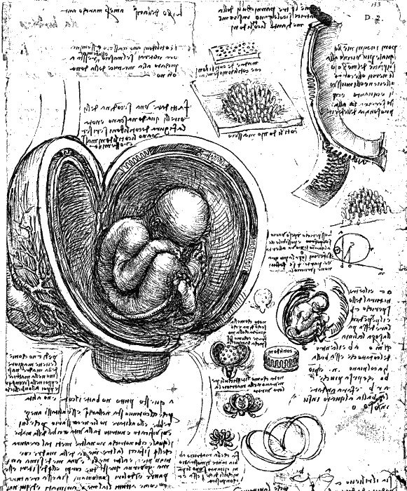 Иллюстрация к книге — Леонардо да Винчи. О науке и искусстве [_184.jpg]