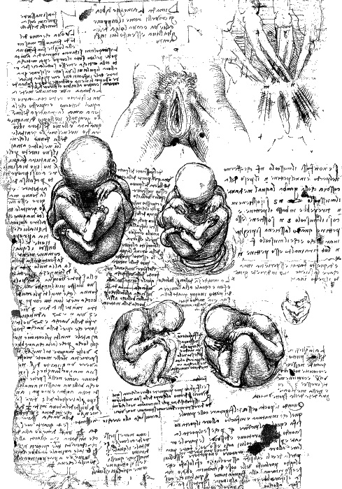 Иллюстрация к книге — Леонардо да Винчи. О науке и искусстве [_185.jpg]