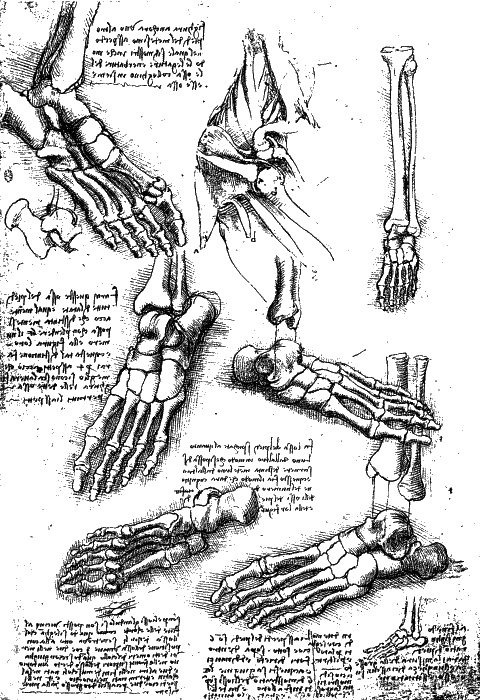 Иллюстрация к книге — Леонардо да Винчи. О науке и искусстве [_196.jpg]