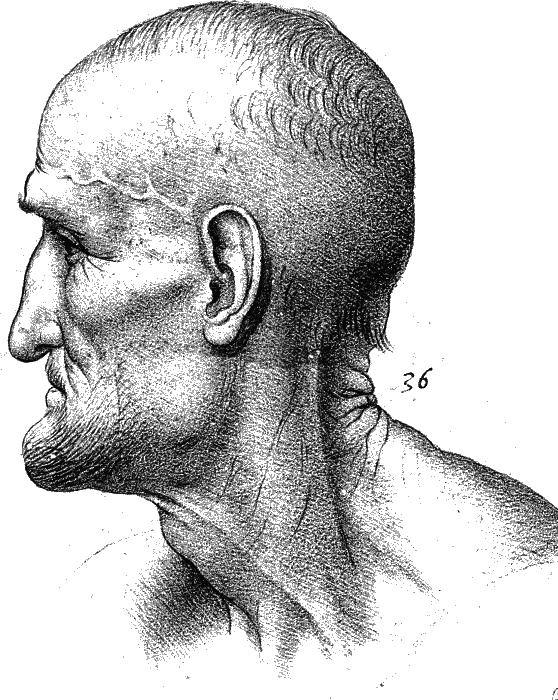 Иллюстрация к книге — Леонардо да Винчи. О науке и искусстве [_289.jpg]