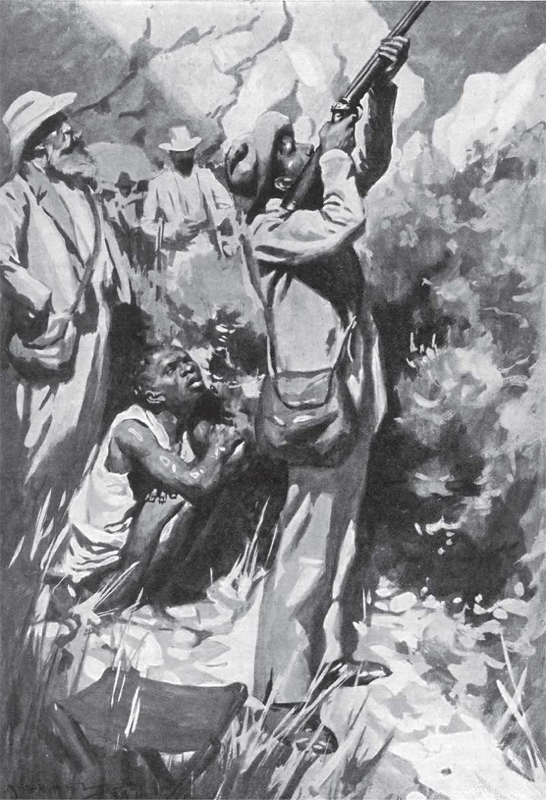 Иллюстрация к книге — Мари. Дитя Бури. Обреченный [i_009.jpg]