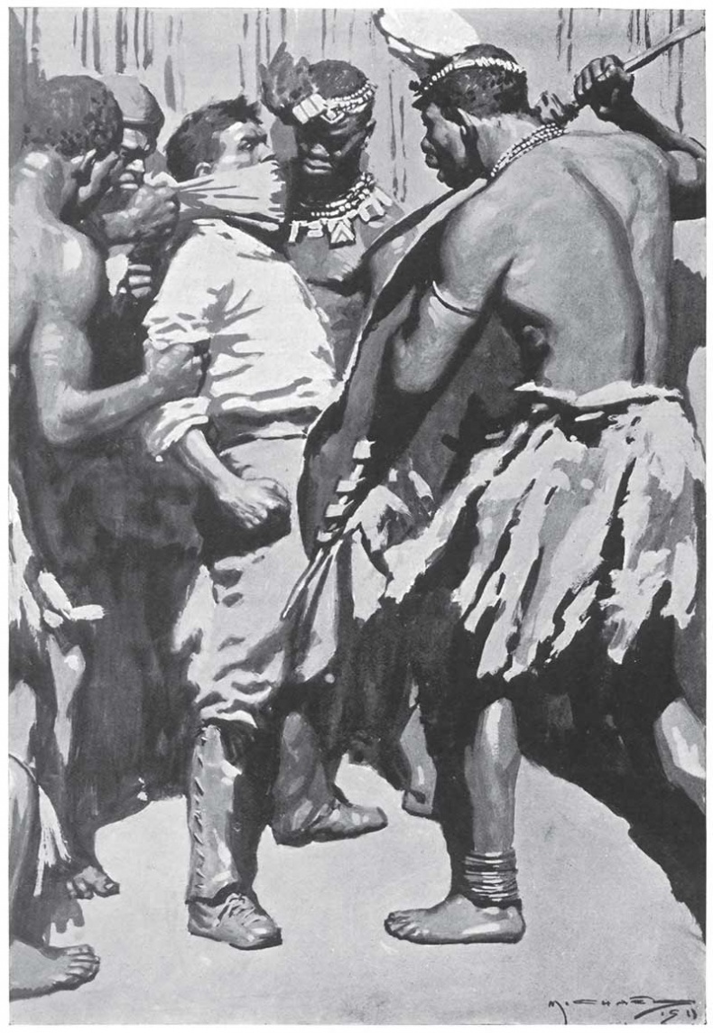 Иллюстрация к книге — Мари. Дитя Бури. Обреченный [i_022.jpg]