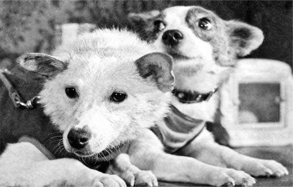 Иллюстрация к книге — Тайны космонавтики [i_007.jpg]