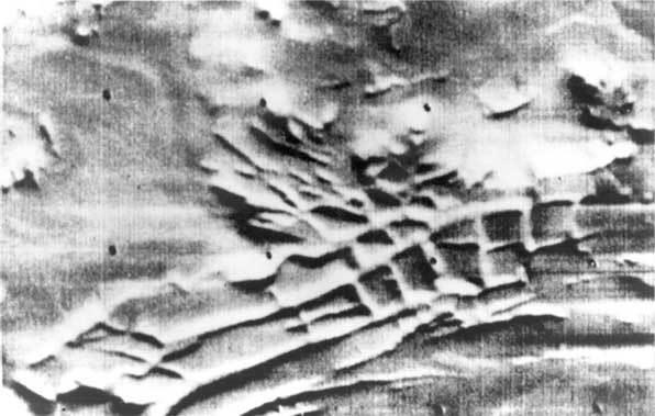 Иллюстрация к книге — Тайны космонавтики [i_038.jpg]