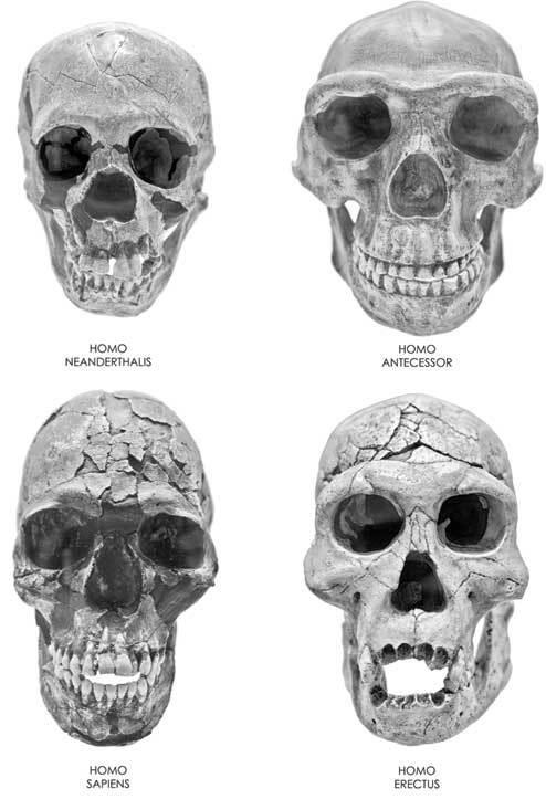 Иллюстрация к книге — Тайны космонавтики [i_082.jpg]