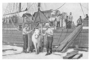 Иллюстрация к книге — Экспедиция к Южному полюсу [i_012.jpg]