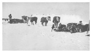 Иллюстрация к книге — Экспедиция к Южному полюсу [i_013.jpg]